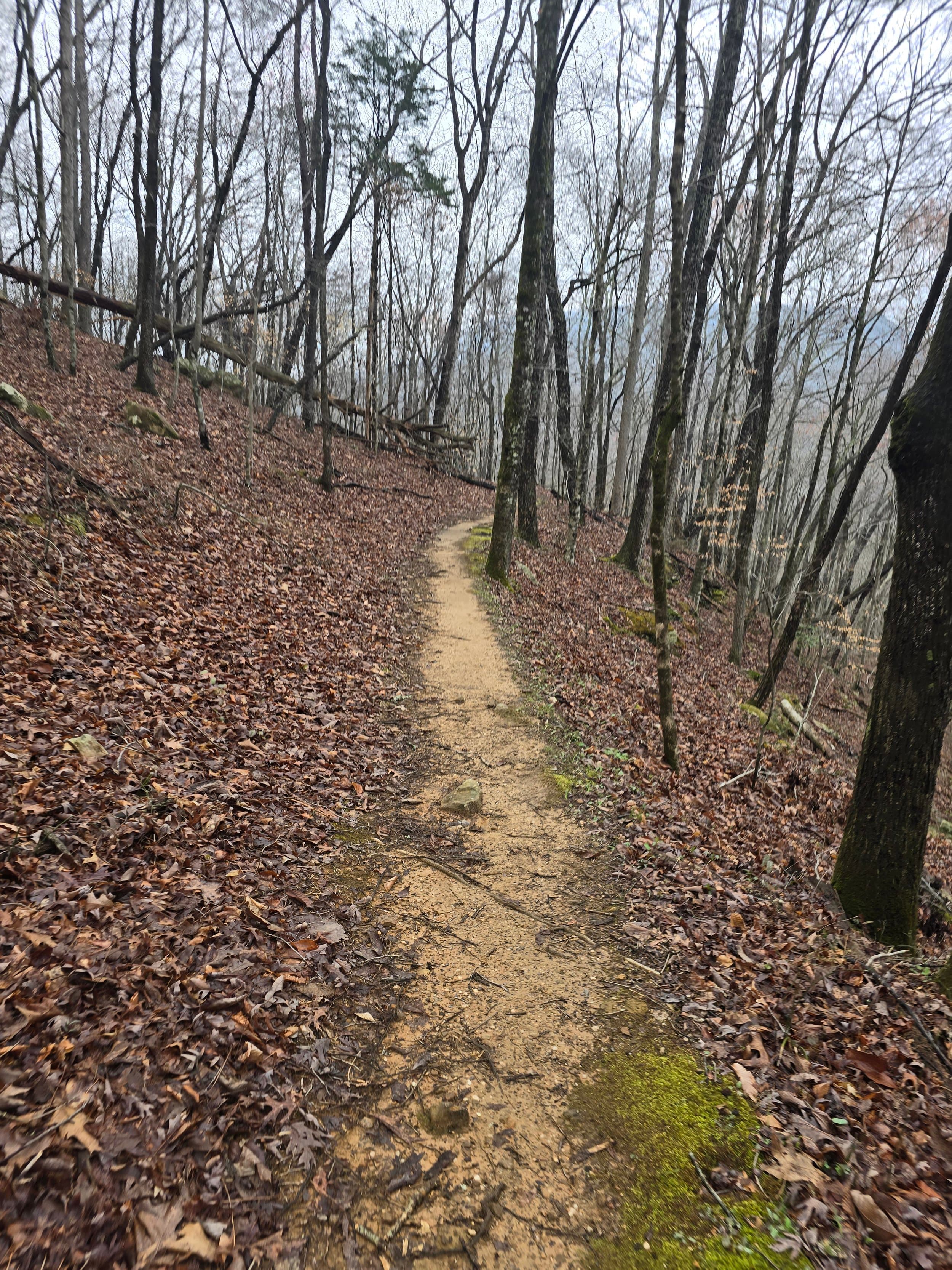 Ultrarunning on the trail